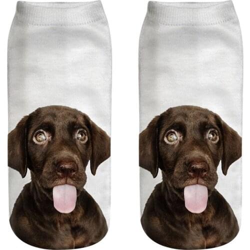 Socks Womens 9 Pairs Set Funny Dog Pictures 3D Printing Golden Retriever Husky And Bulldog Design Ankle Short Socks