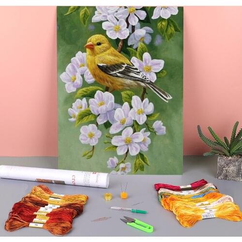 Bird Animal Printed Water-Soluble Canvas 11CT Cross-Stitch Complete Kit Embroidery DMC Threads Handiwork Sewing Design