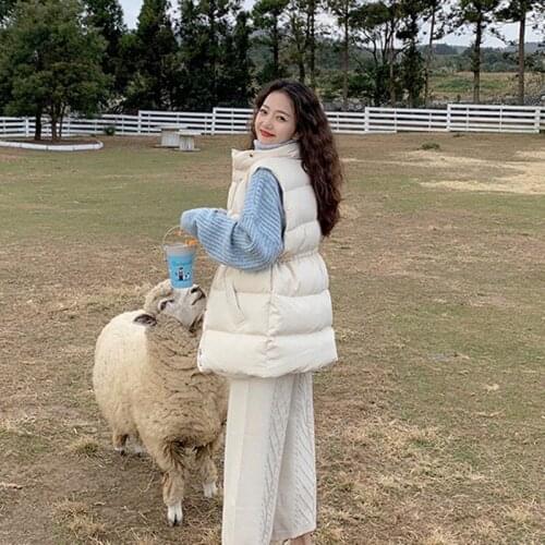 202 Autumn Winter New Style Jacket Vest Womens Lightweight Stand-up Collar Loose Fashion Warm Vest Outer wear