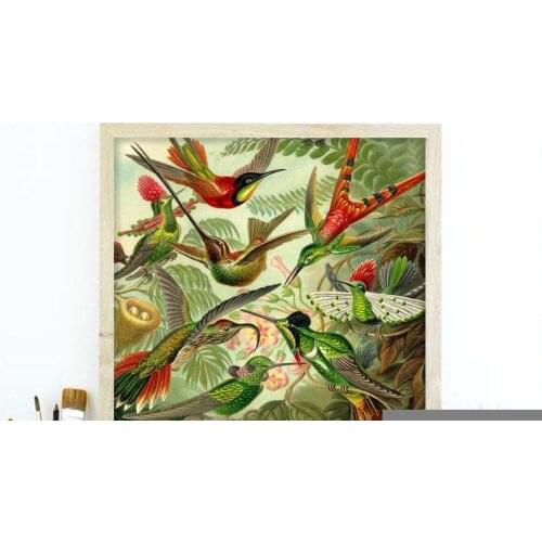 Tropical Birds Of Paradise Print Vintage Art Jungle Animal Bedroom Wall Decor Cool Gifts