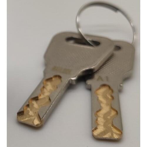 Raylock produced SH20 cam lock and 1175 brass snake key for barrel lock