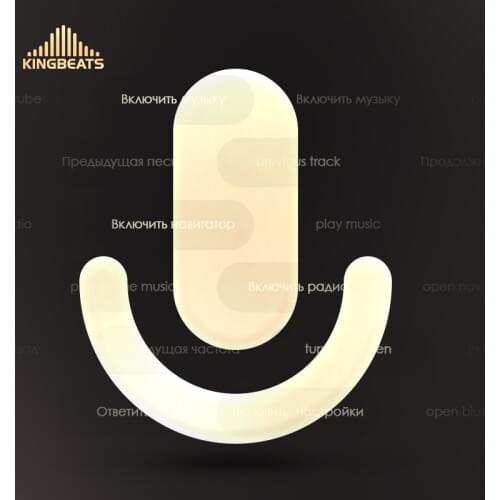 Kingbeats Voice control