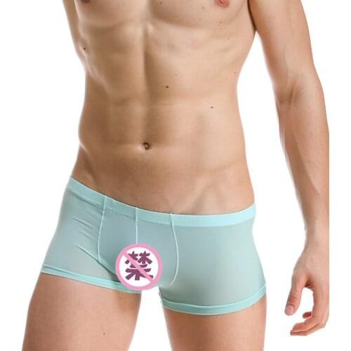 Mens Underwear Wholesale Nylon Silk Slim Breathable U Convex Design Sexy Boxer