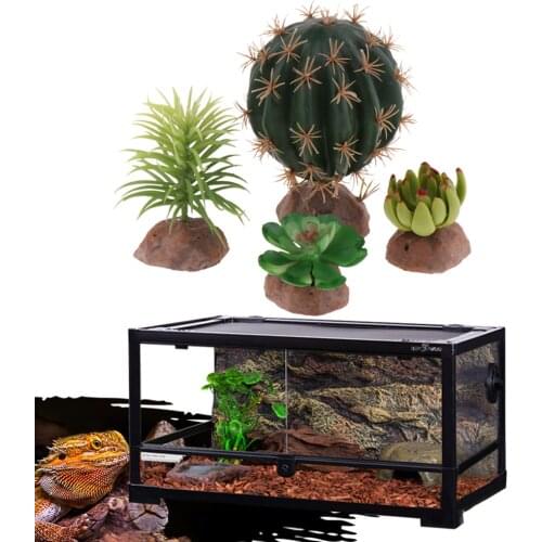 Reptile Terrarium Cactus Succulents Plants Landscape for Tortoise