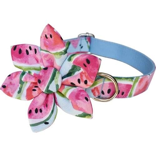 Fruit 03 Individual Customized Nameplate Engraved Flexible Dog Collar For Small Medium Large Blue Bottom Watermelon