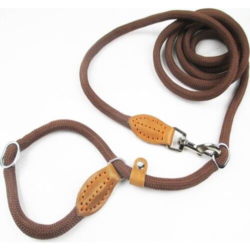 Multifunctional Dog Leash P Chain Slip Collar pet Walking Leads Nylon Dog Rope puppy pet Traction For small Medium Large Dogs