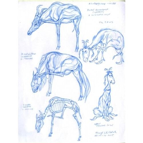 Vintage Antelope Anatomical Drawings Poster Canvas Painting DIY Wall Paper Posters Home Decor Gift