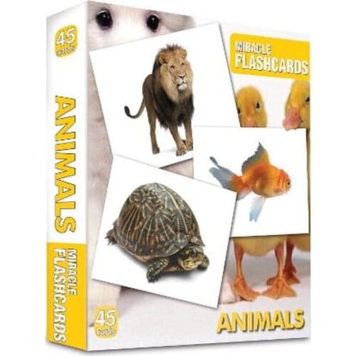 Miracle Flashcards - Domestic Animals Collective MK Publications (TURKISH)