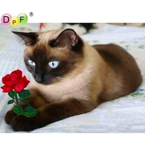 DPF Full Square Diamond 5D DIY Diamond Painting Cat and rose Embroidery diamond Cross Stitch Rhinestone Mosaic Painting Decor