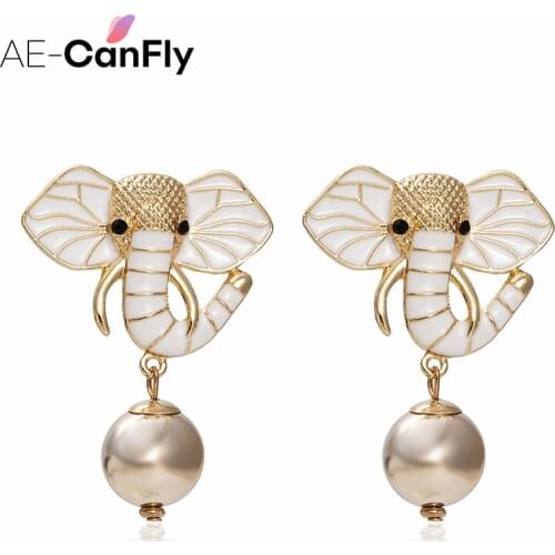 AE-CANFLY Ethnic Earrings