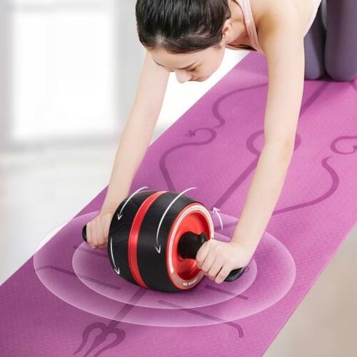 Power Wheels Roller Machine Push-up Bar Stand Exercise Rack Workout Home Gym Fitness Equipment Abdominal Muscle Trainer