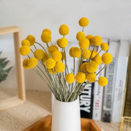 20pcs Craspedia Billy Balls Golden Orbs Natural Dried Preserved Flower Home Yellow Wedding Christmas 2021 New Year Decoration