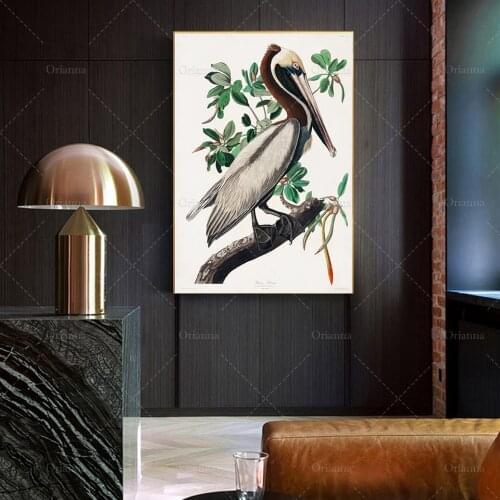 Brown Pelican from Birds of America by John James Audubon, Bird Art Print,Gift Idea -Wall art poster print -Modern Home Decor