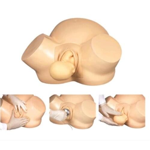 Advanced midwifery training model F8 delivery model/fertility Female delivery birth simulation human body