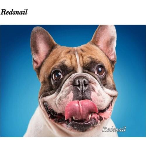 100% Full Square Round Drill 5d DIY Diamond Painting French bulldog mosaic rhinestones Embroidery diamond cross stitch kit EE207