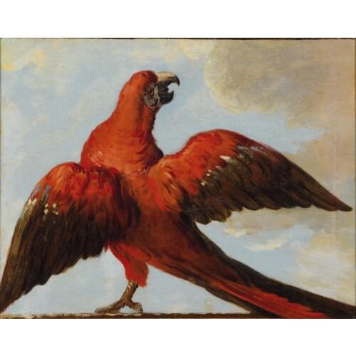 Oil Painting Reproduction,handmade oil painting,Parrot_with_Open_Wings BY Jean-Baptiste Oudry,Anima,Museum quaity