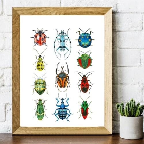 Watercolor Colorful Beetles Collection Wall Art Canvas Painting Educational Posters Wall Picture Print Natural Art Wall Decor