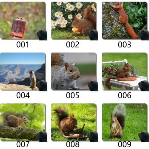 Gaming Mouse Pad,Animal Rodent Squirrel Wildlife Hidden Looking Mouse Pads