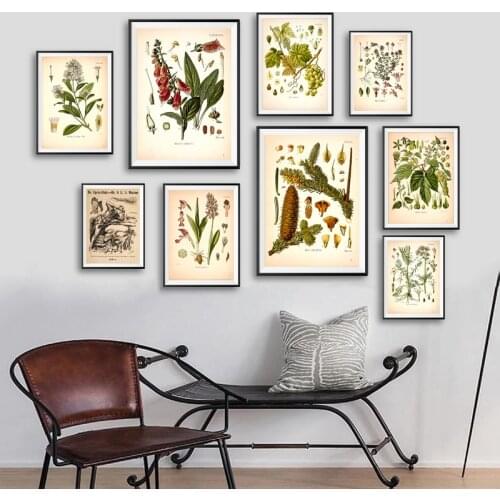 Retro Plants Illustration Art Prints Medicinal Botanical Encyclopedia Posters Vintage Wall Art Canvas Painting Living Room Decor