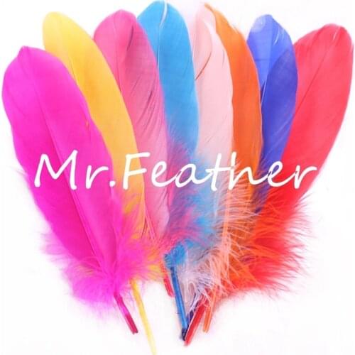 6-8 inch 100Pcs/lot assorted colors Top Quality DIY Goose Feather hard goose plumes for crafts