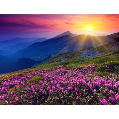 A38821 11CT/14CT/18CT/25CT/28CT oil street patterns Counted Cross Stitch DIY Cross Stitch Kits Embroidery Needlework Sets