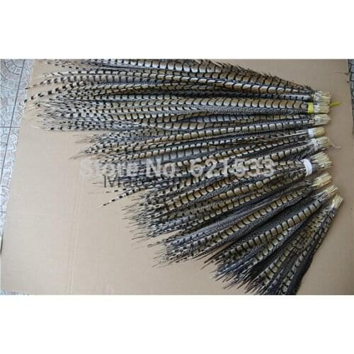 100pcs/lot!16-18inches 40-45cm Perfect lady amherst Pheasant Side Tail Feathers for Costumes decor,pheasant feather tails