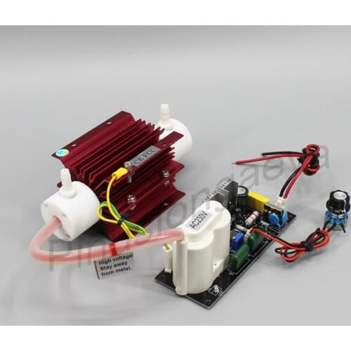 Pinus longaeva 3G/H 3grams adjustable ozone tube transformer PSU for ozone generator air water swimming pool water sterilization