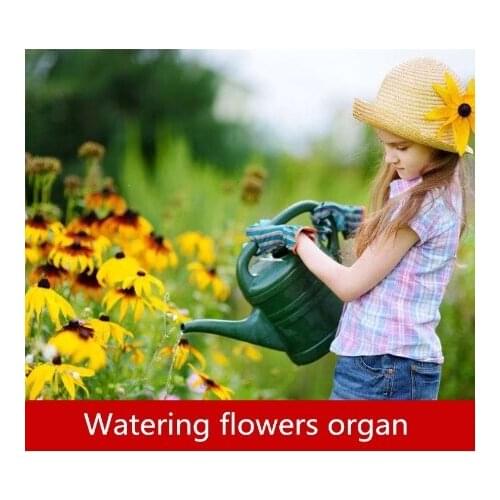 Escape room props Watering flowers organ Liquid position detection Props Water level triggering unlock escape room game