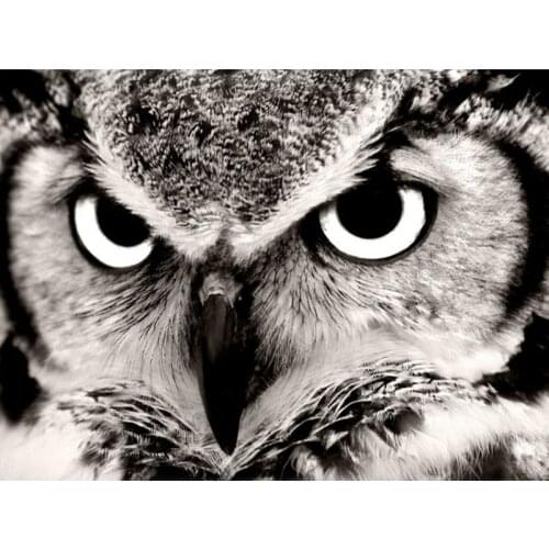 5D DIY Diamond Painting Full Square/Round Drill "Animal Owl" 3D Rhinestone Embroidery Cross Stitch Gift Home Decor