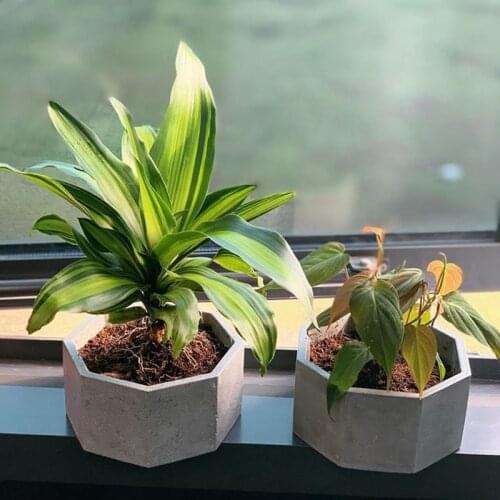 Large size octagonal cement Concrete silicone mold Concrete flower pot making mold Cement storage tray mold Silicone Tray Mold