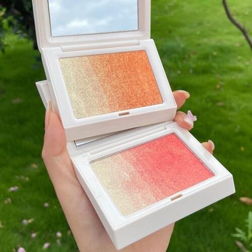 Highlighter Palette Face Contour Powder Bronzer Make Up Blusher Professional Blush Shading Cosmetics for Women SANA889