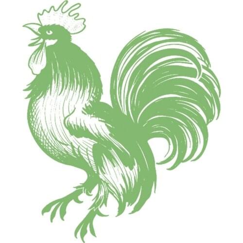 Chicken Logo Luminous Patch Animal Iron Ons Patches for Clothing Thermal Transfer Fluorescence Stickers for Clothes FreeShipping