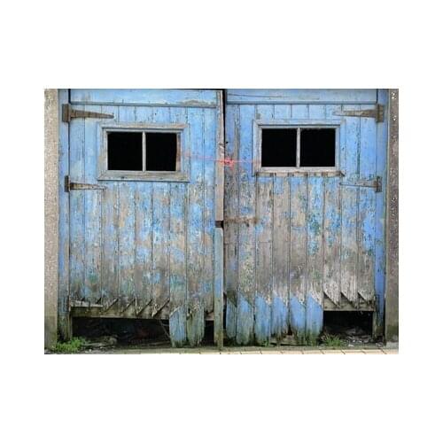 125*200cm Wholesale Photography Backdrops Hot Sale Thin Vinyl Photo Studio Backgrounds Exterior Door For Wedding Portrait D-4938