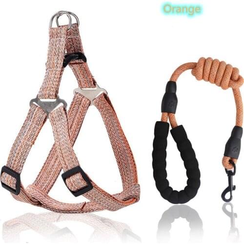 Fashion Adjustable Pet Leashes Puppy Collar for Small Dogs Cat Harness Medium Dog Outdoor Walk Accessories