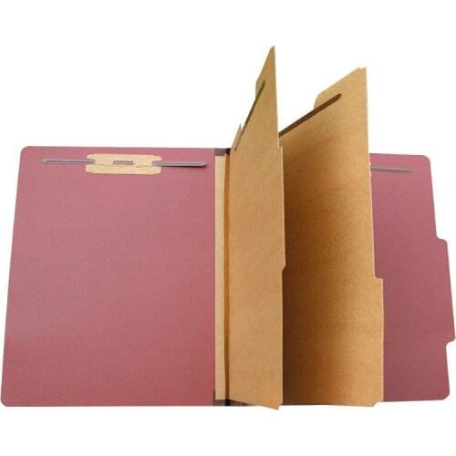 Classification Folders with 2 Divider Durable 2 Prongs Designed to Organize Standard Medical Files, Office Reports