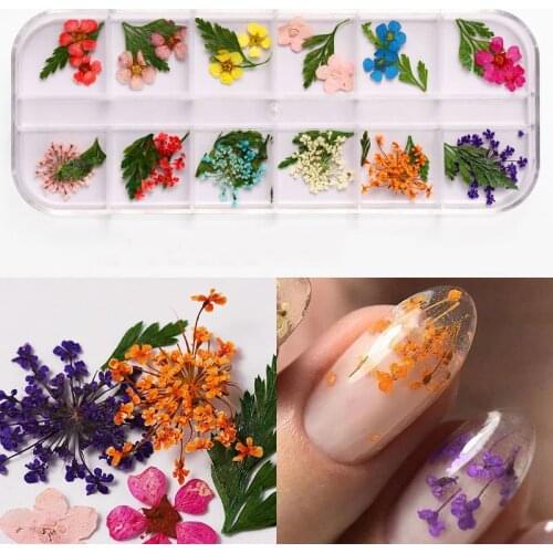DIY Dried Flower Nail Decoration Jewelry Mixed Natural Flower Leaf Stickers Nail Art Design UV Gel Polished Manicure Accessories