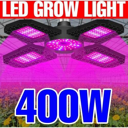 SPSCL Phytolamps For Plants