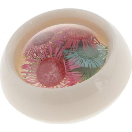 Natural Real Dried Pressed Flowers For Card Making ,Wedding Invitation ,Bookmark