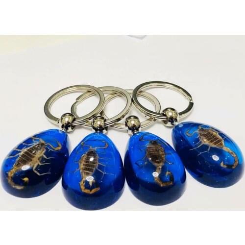 10 pcs Gold Scorpion Insect Blue Color KeyChain Taxidermy Display