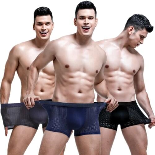 Boxers Men Underwear Sexy Ice Silk Panties Gay Breathable Mesh Pouch Underpants Male Boxershorts Cueca Calzoncillo Plus Size