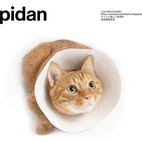 Headgear paper collar 5-piece set for cats and dogs disposable Dupont paper