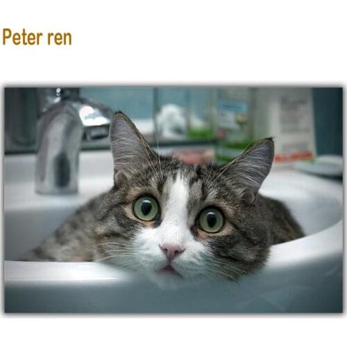 Pictures Of Cats By Numbers Peter ren China