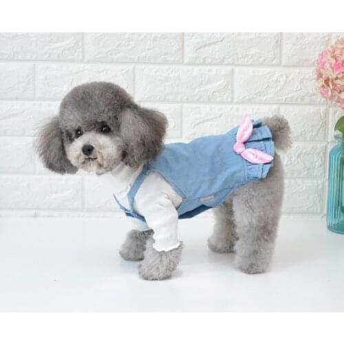 Slip dress Dog Jean Skirts Summer Pet Dresses For Dogs Skirt Denim Dog Dress Pet Clothes For Dogs Personalized Teddy cowboy Pe