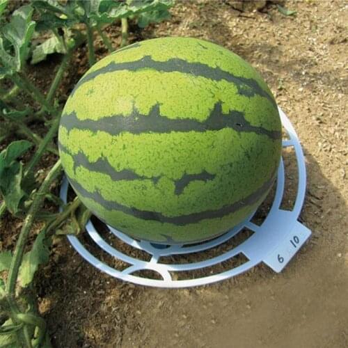 Melon Fruit Tray Watermelon Cradle Plant Support Gardening Supplies For Watermelon Tray Fruit Support Protector