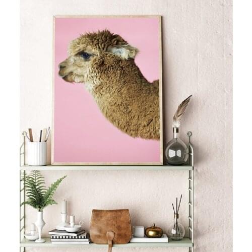 South American Animal Alpaca Print , Alpaca Against Pink Background Funny Poster Canvas Painting Home Wall Art Picture Decor