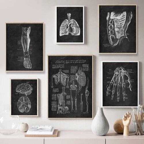 Human Anatomy Artwork Medical Clinic Black White Canvas Wall Art Print Painting Nordic Poster Anime Picture Room Home Decora