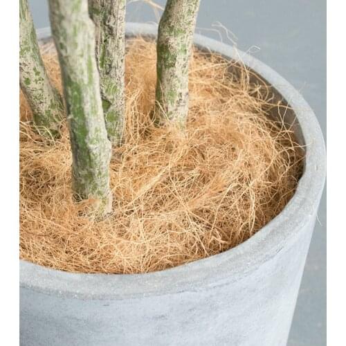 500g Natural Coconut Husk Fiber Orchids Pet Bedding House Plant Accessories