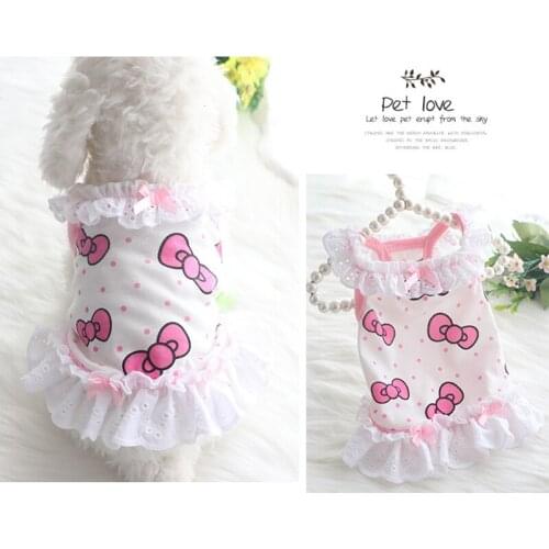 Dog Clothing Summer Skirt Princess Suspender Skirt Darling Lace Wholesale Teddy Puppy Cat Clothes Pet Chihuahua Accesorios