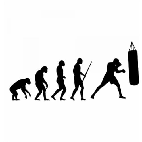 18x16cm Boxing development of Boxing Sandbag men Boy Stickers Car Window Glass Body Decoration windshield Decal CL417
