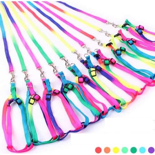 1PC colorful Puppy Dog Leash Nylon Pet Strap Rope Small Dogs Leashes Belts Drop Shipping